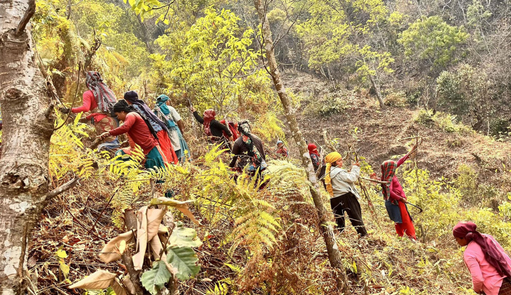 वन डढेलो रोकथामका लागि विशेष अभियान 