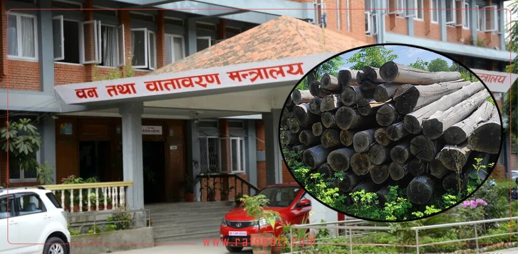 सरकारको अदूरदर्शी निर्णय : वन पैदावार विकास समितिलाई पङ्गु बनाइयो