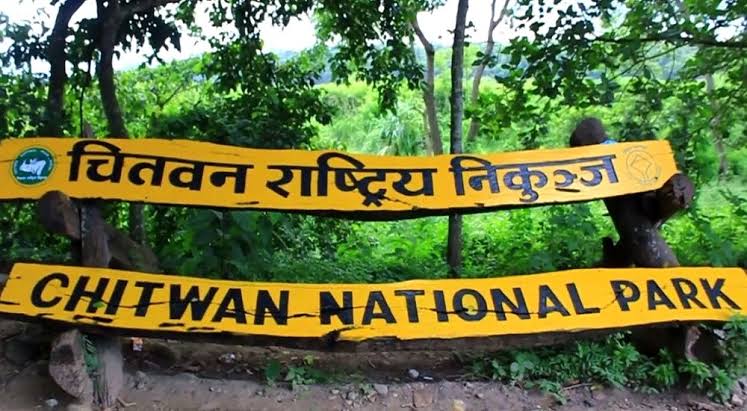 चितवन राष्ट्रिय निकुञ्ज र मध्यवर्ती क्षेत्रमा सतर्कता अपनाउन आग्रह