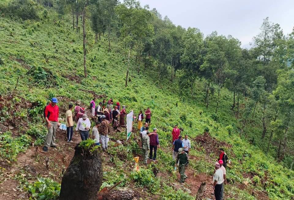 बहुउपयोगी प्रजातिका बिरुवा रोपण