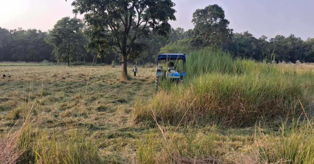 वन्यजन्तुको आहारा बढाउन बर्दिया राष्ट्रिय निकुञ्जमा घाँसे मैदान व्यवस्थापन